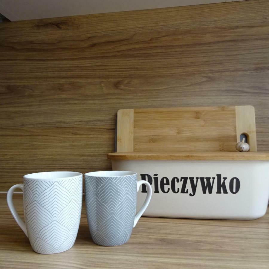Mieszkanie 4-Pokojowe W Toruniu Przy Umk Экстерьер фото
